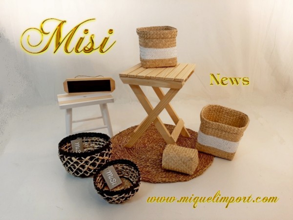 NOVEDADES MISI